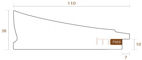 7503673-2_1689674515